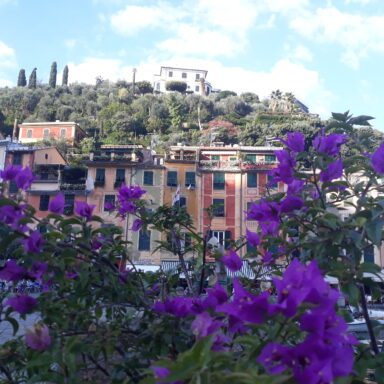 Slnečná Ligúria – Cinque Terre, Rapallo, Portofino, Janov 007