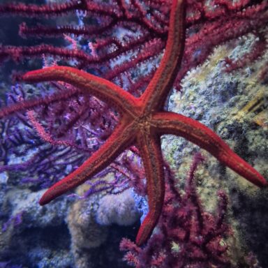 Slnečná Ligúria – Cinque Terre, Rapallo, Portofino, Janov 026