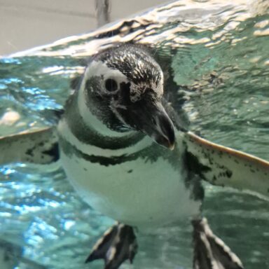 Slnečná Ligúria – Cinque Terre, Rapallo, Portofino, Janov 027