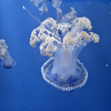 Slnečná Ligúria – Cinque Terre, Rapallo, Portofino, Janov 003