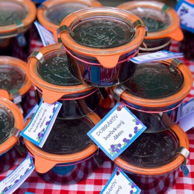 Čučoriedkový festival a skvosty južných Čiech 022