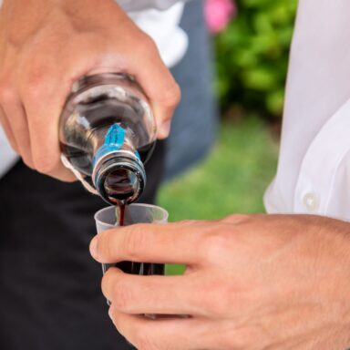 Čučoriedkový festival a skvosty južných Čiech 015