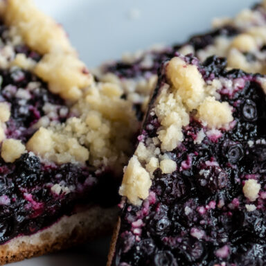 Čučoriedkový festival a skvosty južných Čiech 008