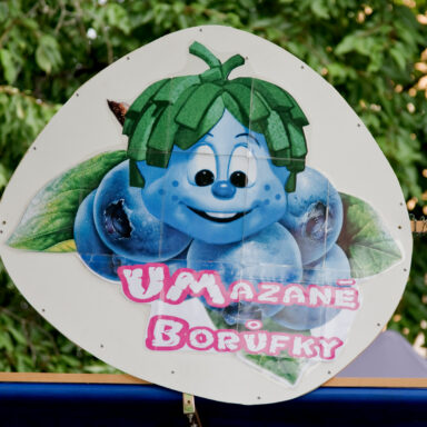 Čučoriedkový festival a skvosty južných Čiech 009