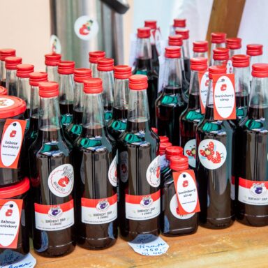 Čučoriedkový festival a skvosty južných Čiech 016