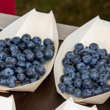 Čučoriedkový festival a skvosty južných Čiech 005
