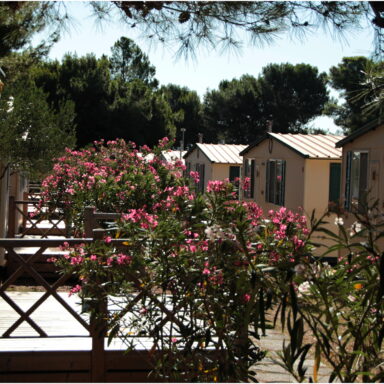 EXKLUZÍVNY OZDRAVNO – REGENERAČNÝ POBYT PRI MORI 004