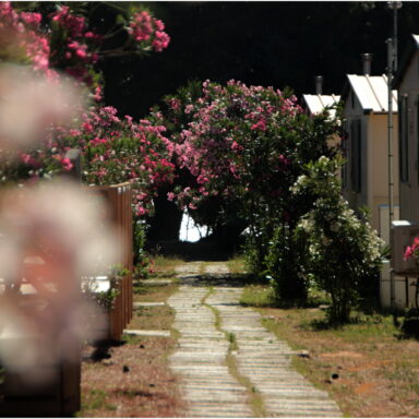 EXKLUZÍVNY OZDRAVNO – REGENERAČNÝ POBYT PRI MORI 006