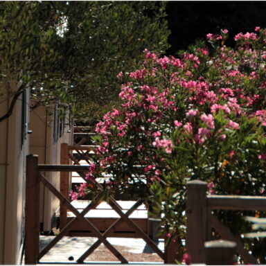 EXKLUZÍVNY OZDRAVNO – REGENERAČNÝ POBYT PRI MORI 007