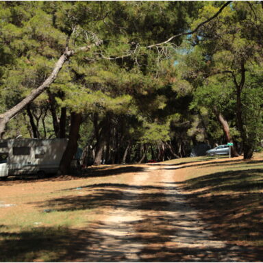 EXKLUZÍVNY OZDRAVNO – REGENERAČNÝ POBYT PRI MORI 043