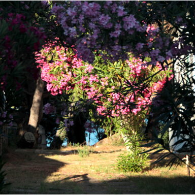 EXKLUZÍVNY OZDRAVNO – REGENERAČNÝ POBYT PRI MORI 038