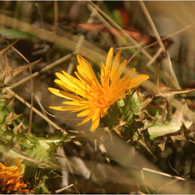 EXKLUZÍVNY OZDRAVNO – REGENERAČNÝ POBYT PRI MORI 026