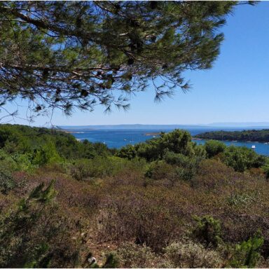 EXKLUZÍVNY OZDRAVNO – REGENERAČNÝ POBYT PRI MORI 039