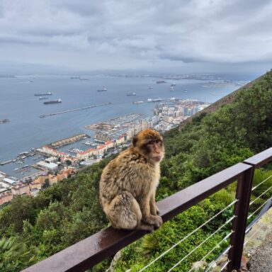 Čarovná Andalúzia – Malaga, Gibraltar, Castillo de Colomares, Ronda, Setenil de las Bodegas, Camino del Rey, Nerja, Frigiliana 002