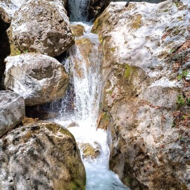 Schneeberg: Alpský treking na najvyšší vrchol Dolného Rakúska a jazda legendárnym Salamandrom 030
