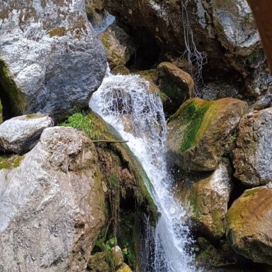 Schneeberg: Alpský treking na najvyšší vrchol Dolného Rakúska a jazda legendárnym Salamandrom 045