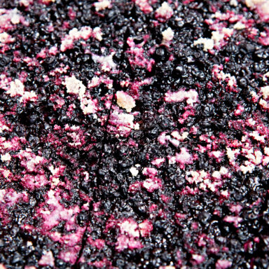 Čučoriedkový festival a skvosty južných Čiech 028