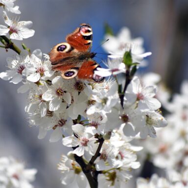 Talianska jazda La Dolce Vita: Zážitková cesta za Proseccom a gastronómiou s bohatými degustáciami 012