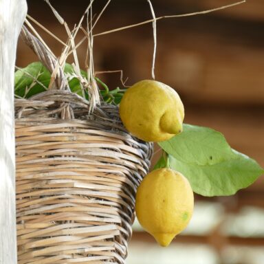 Večne zelený ostrov Ischia so sopkou Monte Epomeo a návšteva ostrova Procida – polpenzia 022