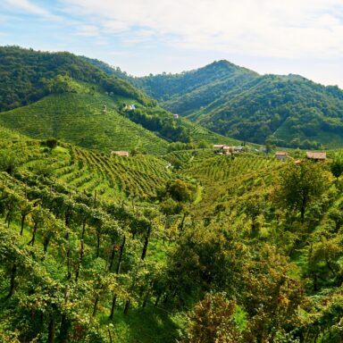 Talianska jazda La Dolce Vita: Zážitková cesta za Proseccom a gastronómiou s bohatými degustáciami 003