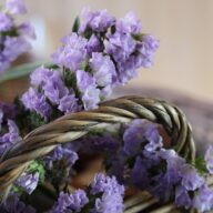 Levanduľové Tihany