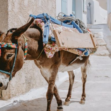 Santorini – perla Grécka 009