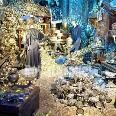 Harry Potter: magický svet 009