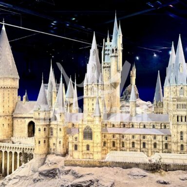 Harry Potter: magický svet 025
