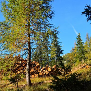 Schneeberg: Alpský treking na najvyšší vrchol Dolného Rakúska a jazda legendárnym Salamandrom 059