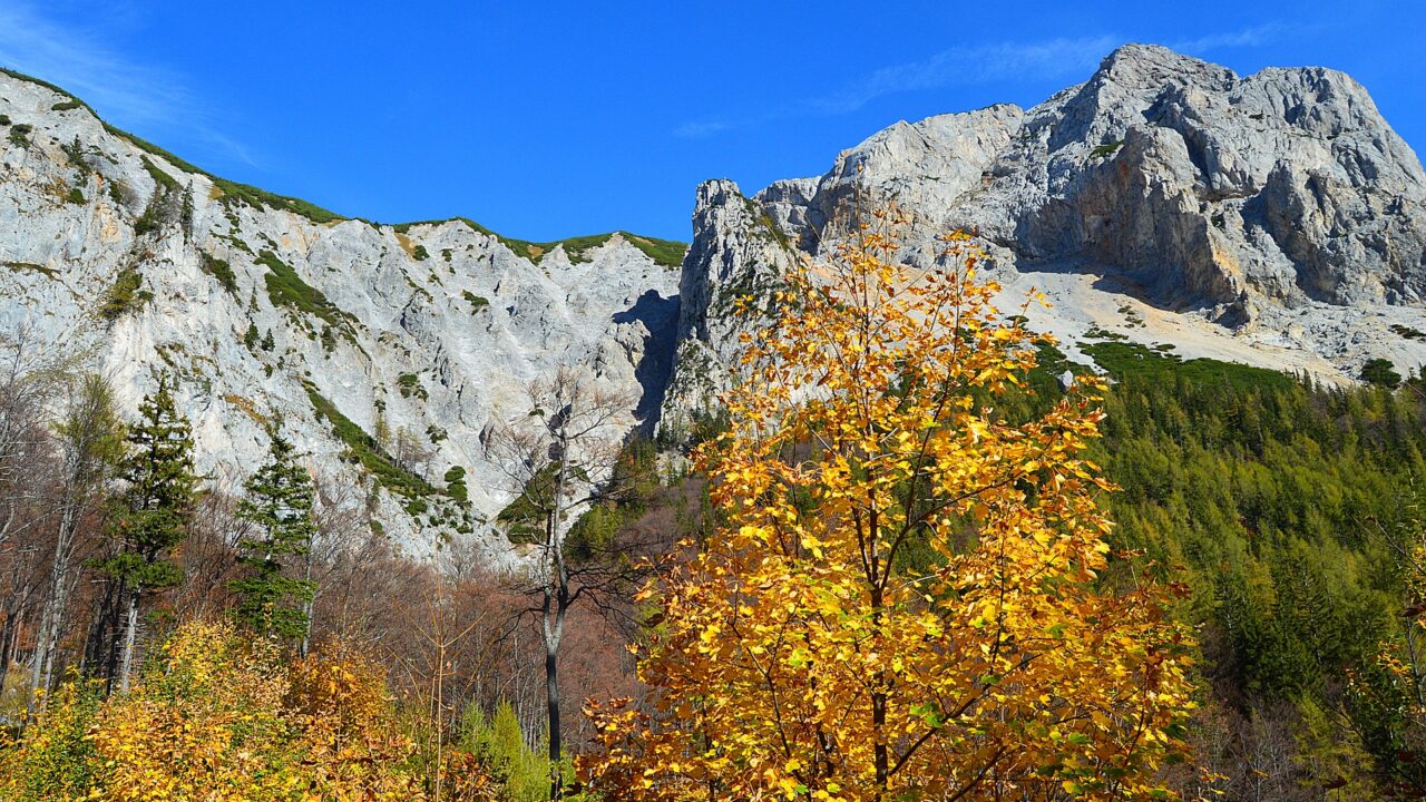 Schneeberg: Alpský treking na najvyšší vrchol Dolného Rakúska a jazda legendárnym Salamandrom