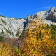 Schneeberg: Alpský treking na najvyšší vrchol Dolného Rakúska a jazda legendárnym Salamandrom