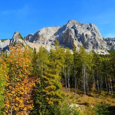 Schneeberg: Alpský treking na najvyšší vrchol Dolného Rakúska a jazda legendárnym Salamandrom 020