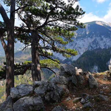 Schneeberg: Alpský treking na najvyšší vrchol Dolného Rakúska a jazda legendárnym Salamandrom 051