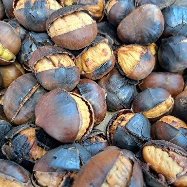 „Silvestrovské Dolce Vita: V srdci večného Ríma“ 004