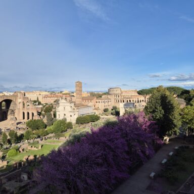 „Silvestrovské Dolce Vita: V srdci večného Ríma“ 085