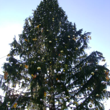 „Silvestrovské Dolce Vita: V srdci večného Ríma“ 009