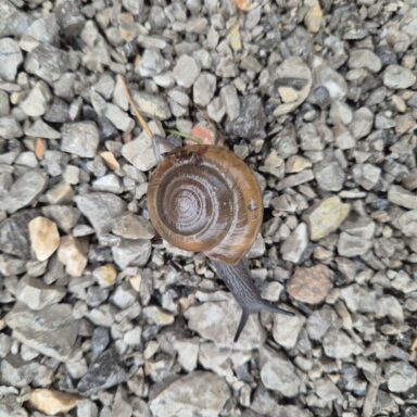 Smaragdové Plitvice a večerný Záhreb 023