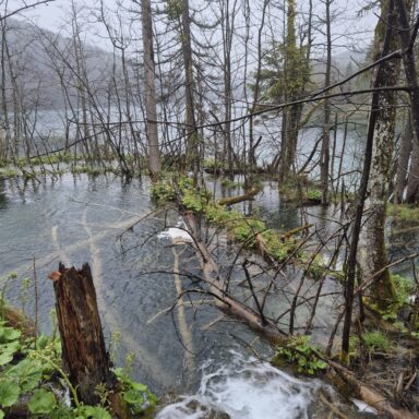Smaragdové Plitvice a večerný Záhreb 019