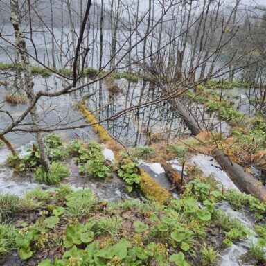 Smaragdové Plitvice a večerný Záhreb 027