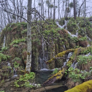 Smaragdové Plitvice a večerný Záhreb 028