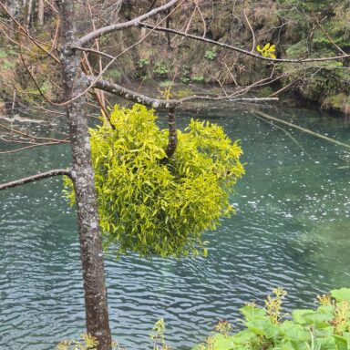 Smaragdové Plitvice a večerný Záhreb 035