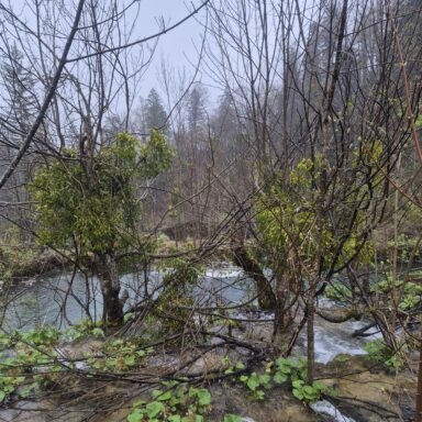 Smaragdové Plitvice a večerný Záhreb 038