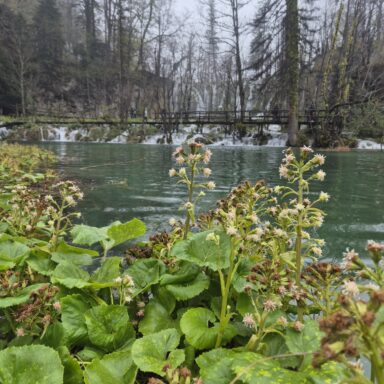 Smaragdové Plitvice a večerný Záhreb 003