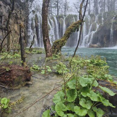Smaragdové Plitvice a večerný Záhreb 045