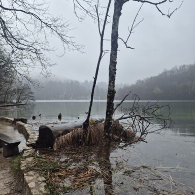 Smaragdové Plitvice a večerný Záhreb 048