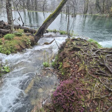 Smaragdové Plitvice a večerný Záhreb 049