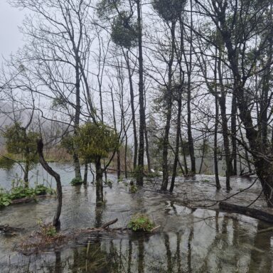 Smaragdové Plitvice a večerný Záhreb 051