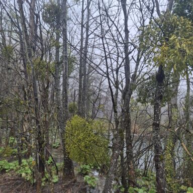 Smaragdové Plitvice a večerný Záhreb 052