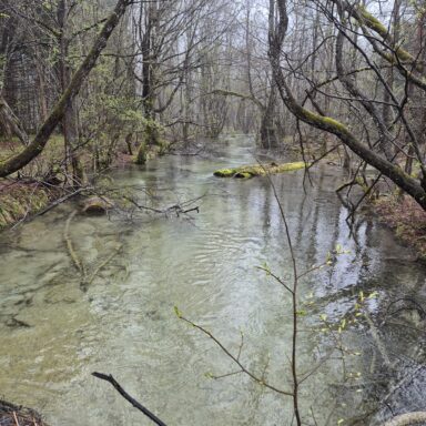 Smaragdové Plitvice a večerný Záhreb 057