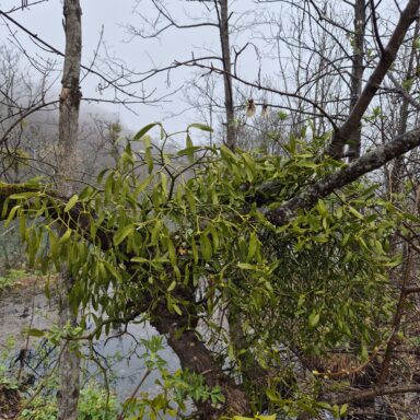 Smaragdové Plitvice a večerný Záhreb 063